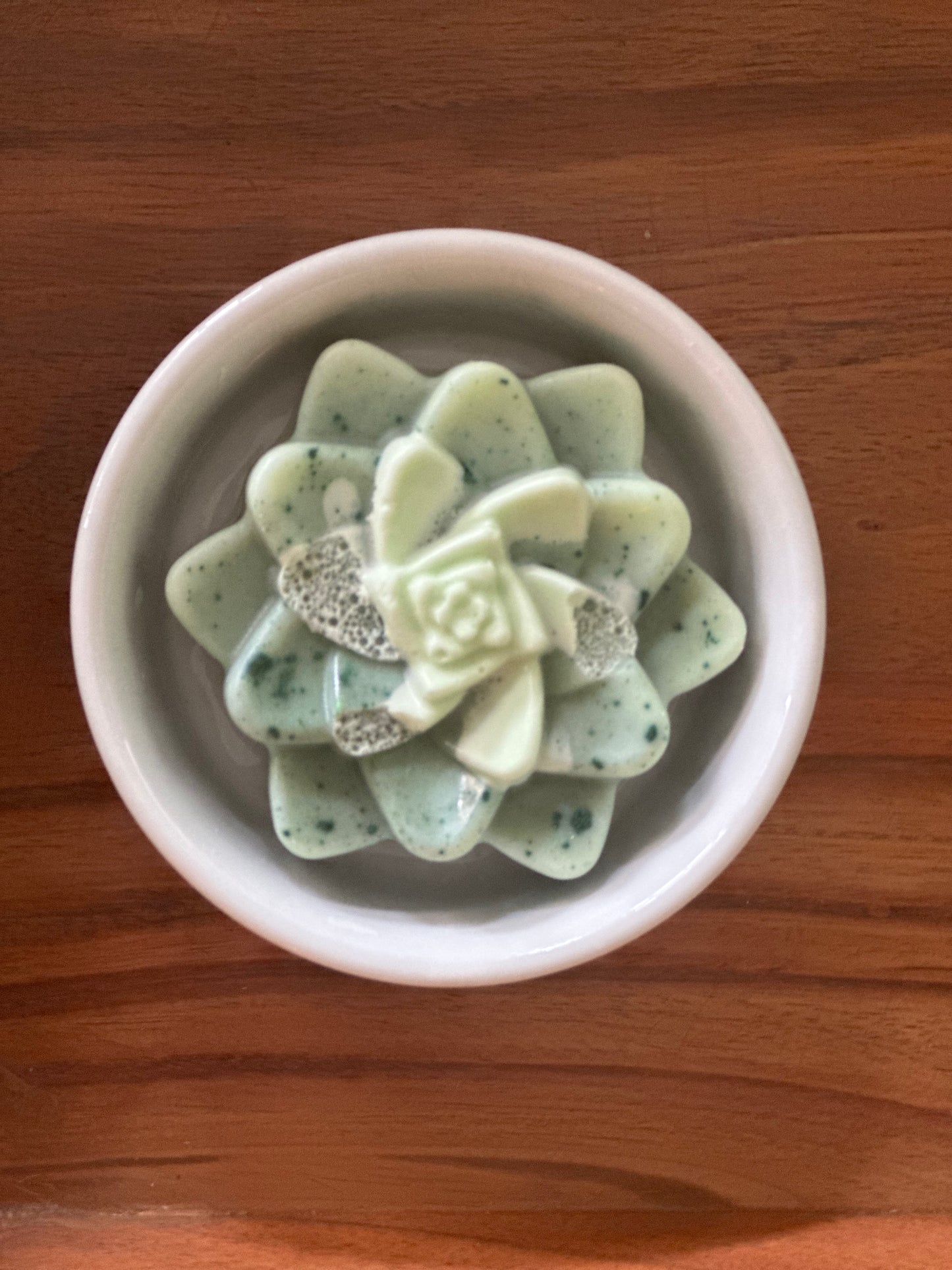 Succulent Goat Milk Soap