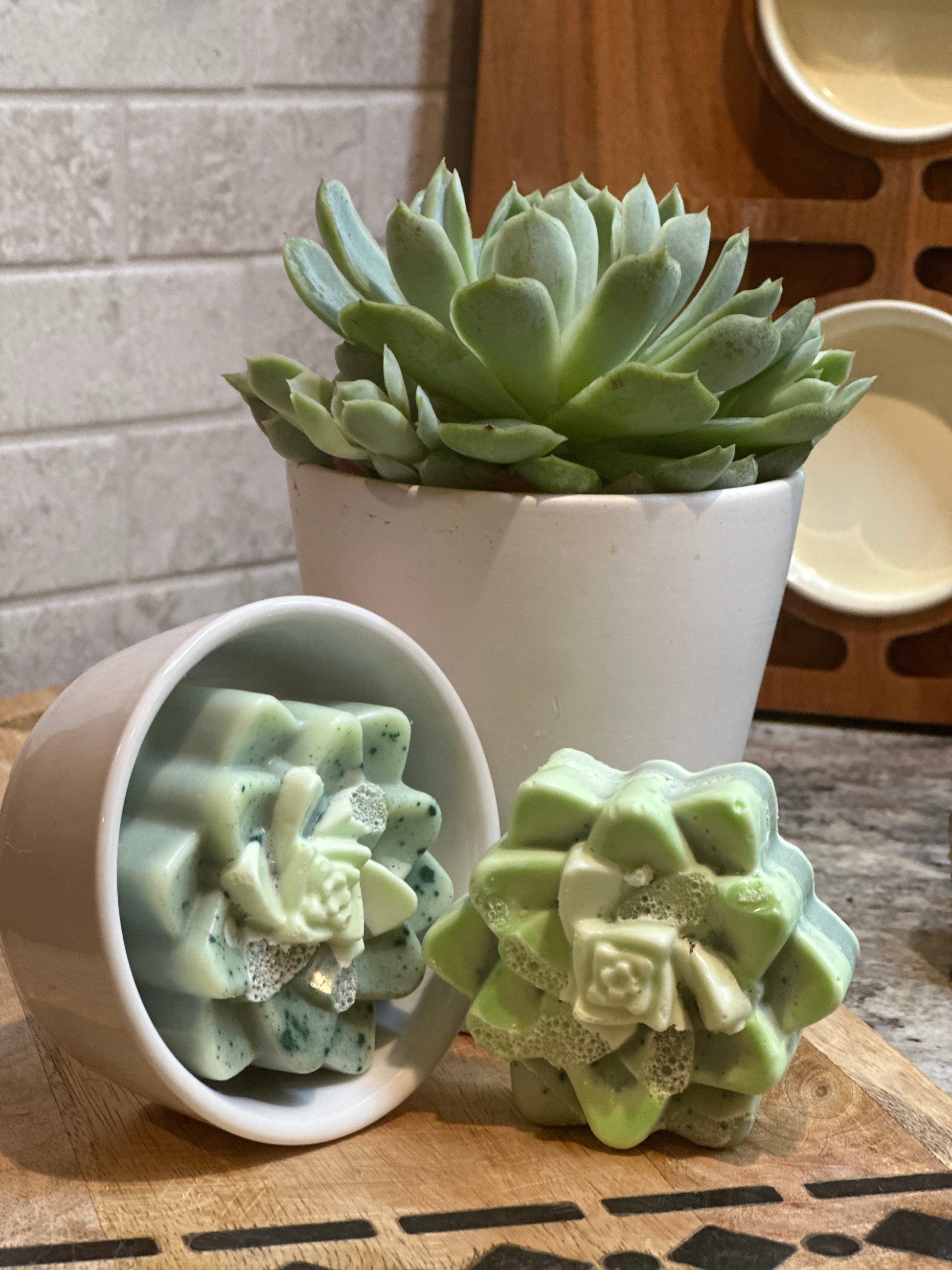 succulent soap Succulent Goat Milk Soap – Backroad Country Creations